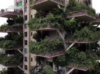 Проект "зеленого" жилого комплекса в Чэнду провалился из-за поселившихся в нем москитов (ВИДЕО)
