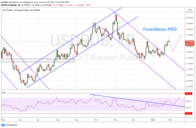 USD/RUB прогноз Доллар Рубль на неделю 1-5 февраля 2021