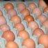 Минсельхоз заявил о возможном повышении цен на яйца и мясо птицы в рамках инфляции