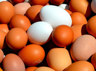 Производители сообщили о риске дефицита яиц